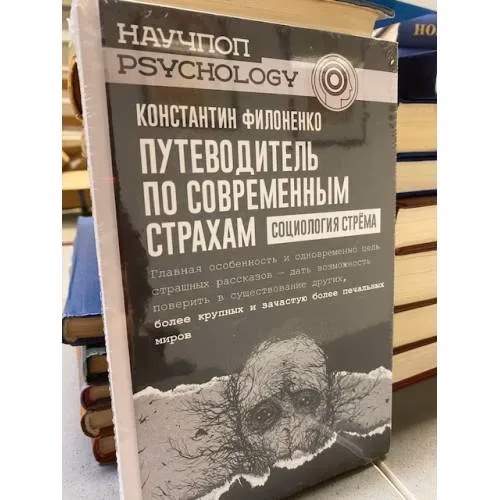 Book cover: Путеводитель по современным страхам. Социология стрема