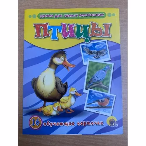 Book cover: 16 обучающих карточек. Птицы