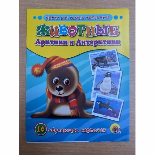 Book cover: 16 обучающих карточек. Животные Арктики и Антарктики