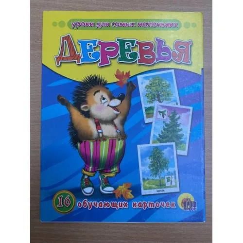 Book cover: 16 обучающих карточек. Деревья