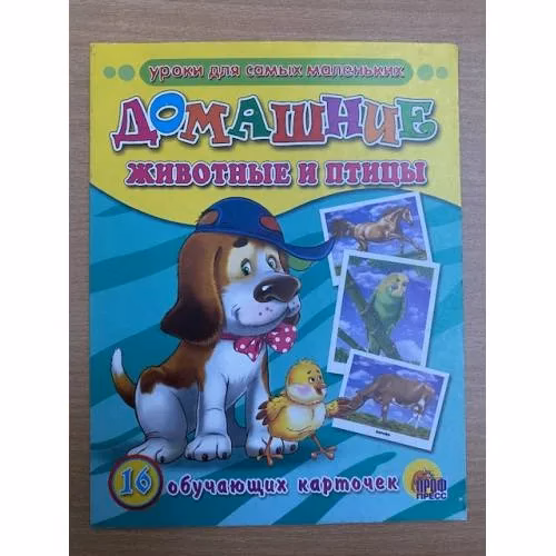 Book cover: 16 обучающих карточек. Домашние животные и птицы