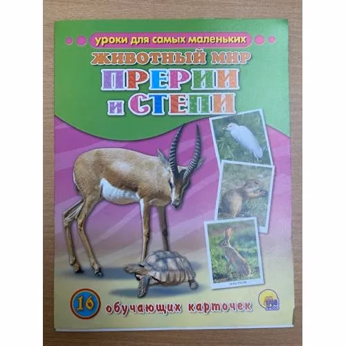 Book cover: 16 обучающих карточек. Животный мир. Прерии и степи