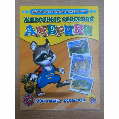 Book cover: 16 обучающих карточек.  Животные Северной Америки