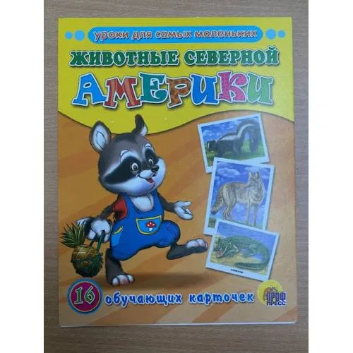 Book cover: 16 обучающих карточек.  Животные Северной Америки