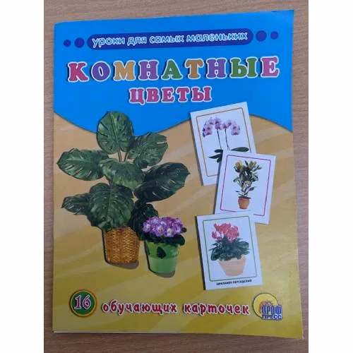 Book cover: 16 обучающих карточек. Комнатные цветы.