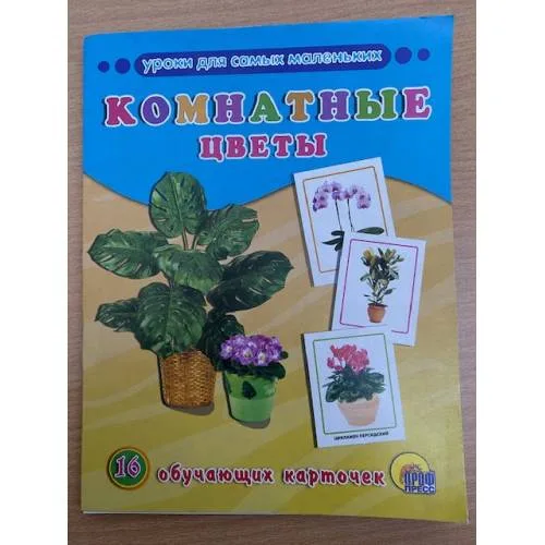 Book cover: 16 обучающих карточек. Комнатные цветы.