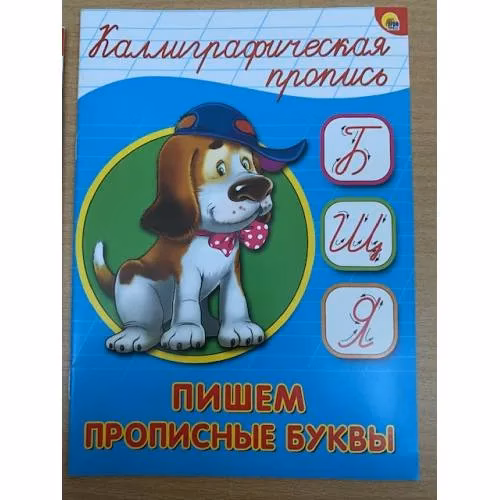 Book cover: Пишем прописные буквы