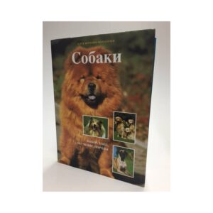 Собаки