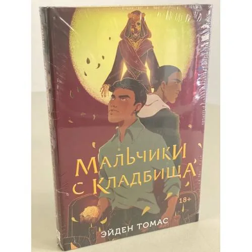 Book cover: Мальчики с кладбища
