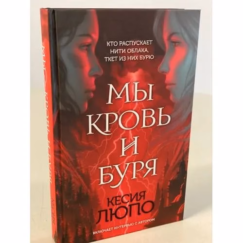 Book cover: Мы кровь и буря