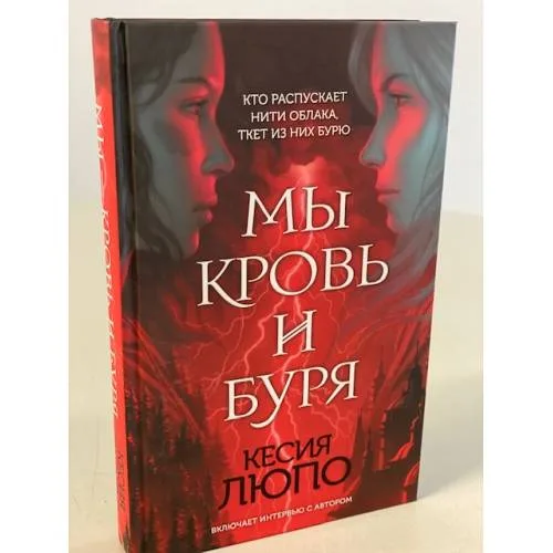 Book cover: Мы кровь и буря