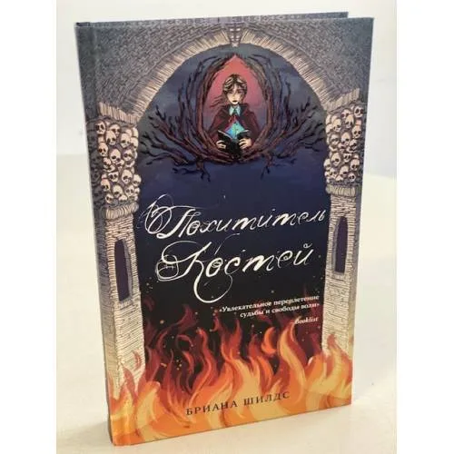 Book cover: Похититель костей