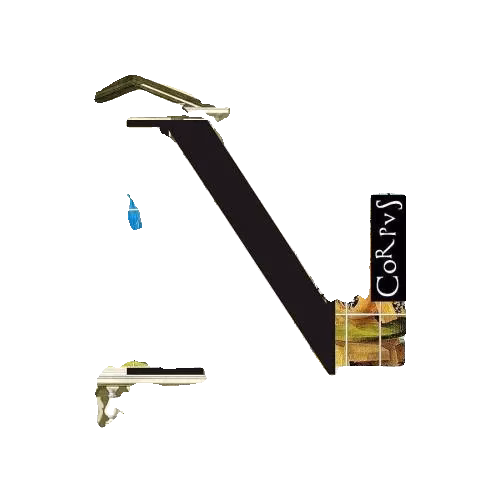 Ада, или Отрада