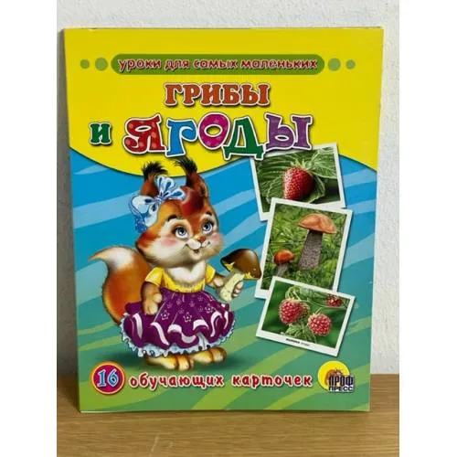 Book cover: 16 обучающих карточек. Грибы и ягоды