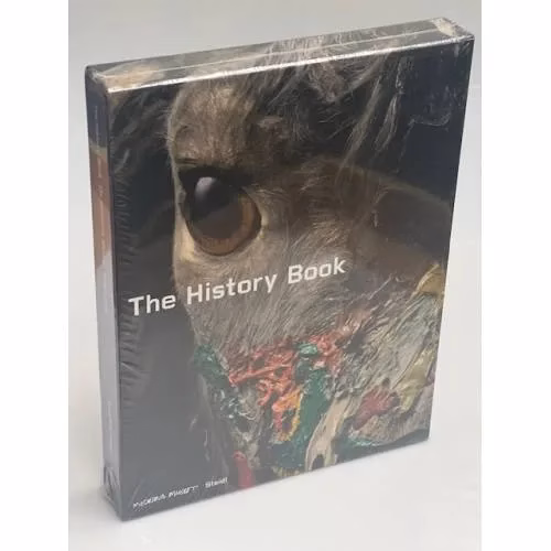 Book cover: The History Book (Big Ideas Simply Explained)