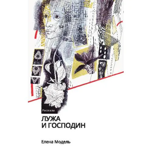 Book cover: Лужа и господин. Рассказы