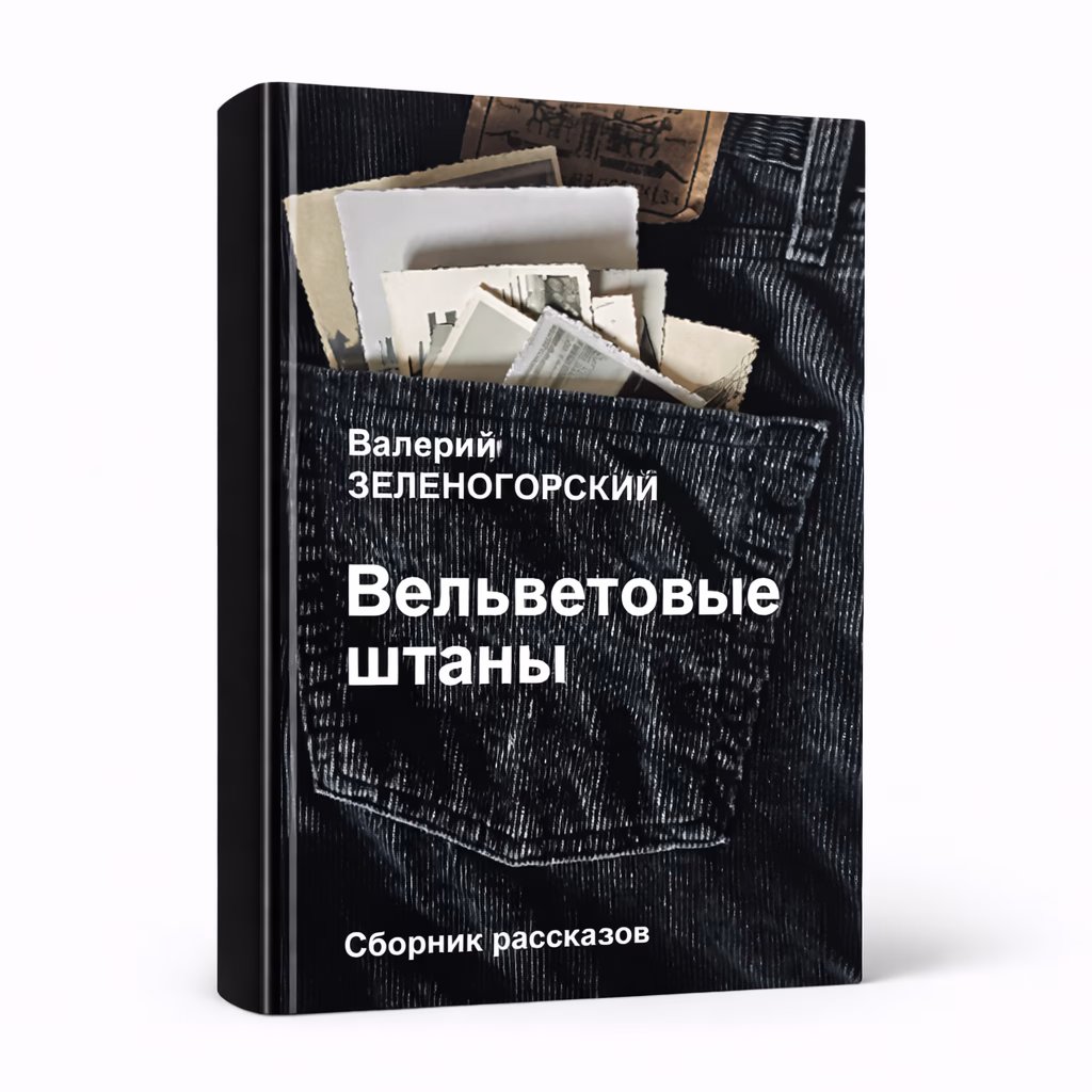 Вельветовые штаны — Валерий Зеленогорский, обложка книги