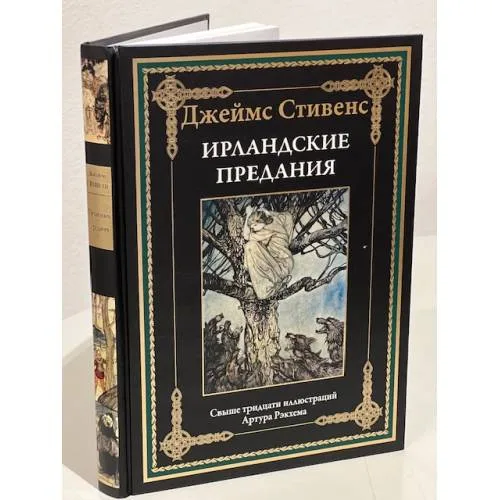 Book cover: Ирландские предания