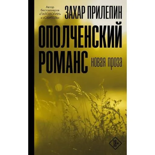 Book cover: Opolchenskij romans