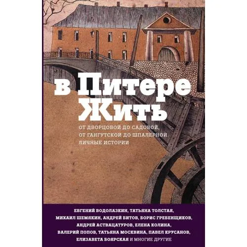 Book cover: V Pitere zhit'
